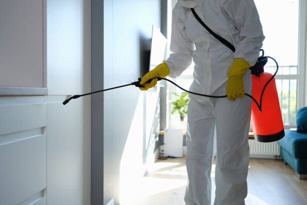 Best DIY Mold Remediation Support Services in Vevay, IN